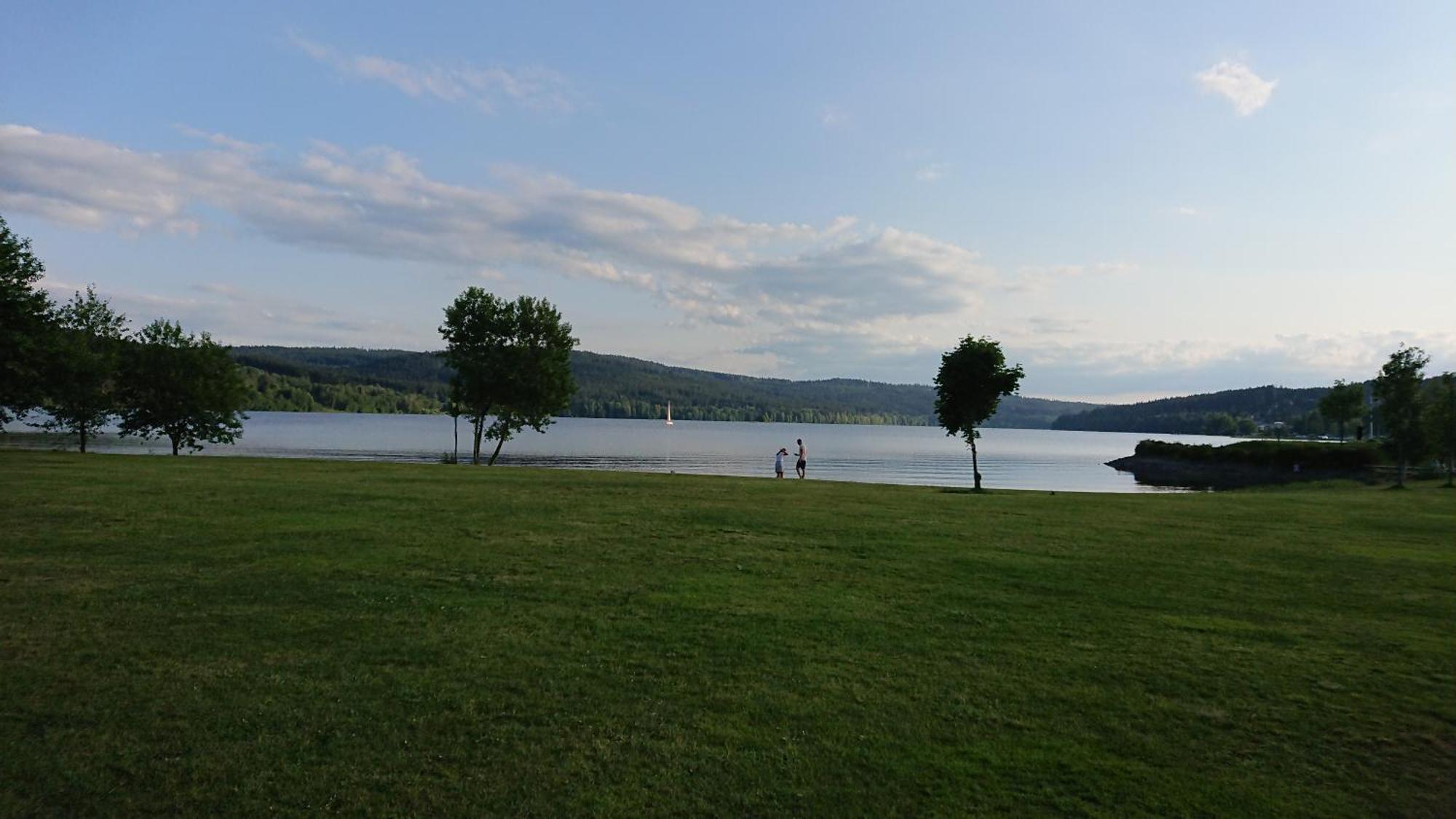 Lipno99 Villa Lipno nad Vltavou Bilik gambar